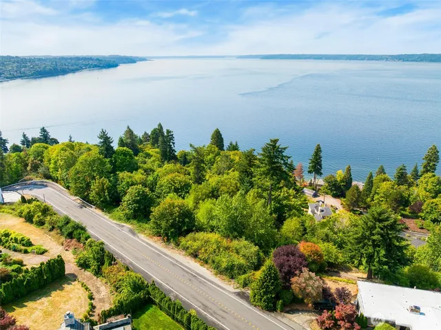 a view of a lake with a flower and a wooden bridge