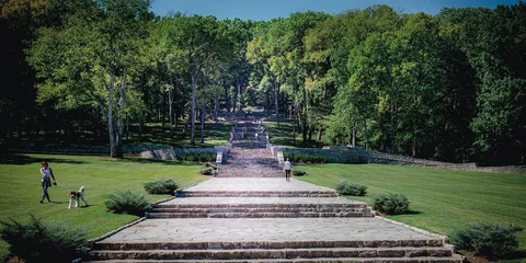 a view of a garden with plants