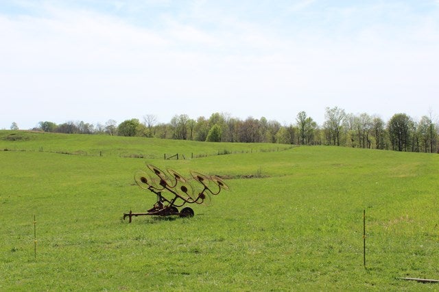 5219 Randolph Road Edmonton, KY 42129 - Photo 6 of 12 Gallery Image 6