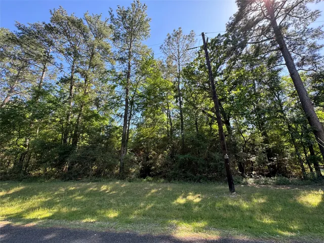 $2,500 | 258 Coral Gables, Trinity, TX 75862