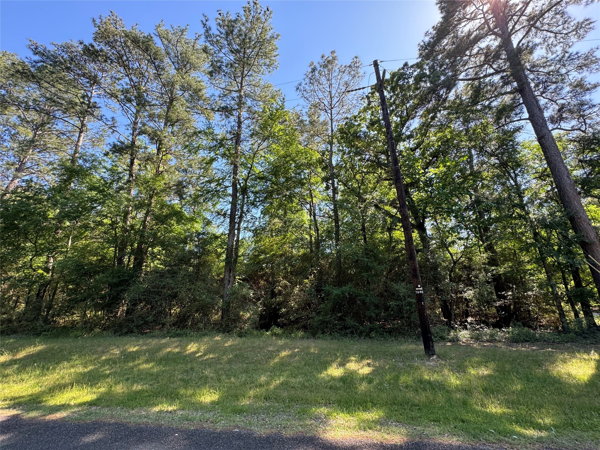 258 Coral Gables Trinity, TX 75862 - Photo 2 of 7