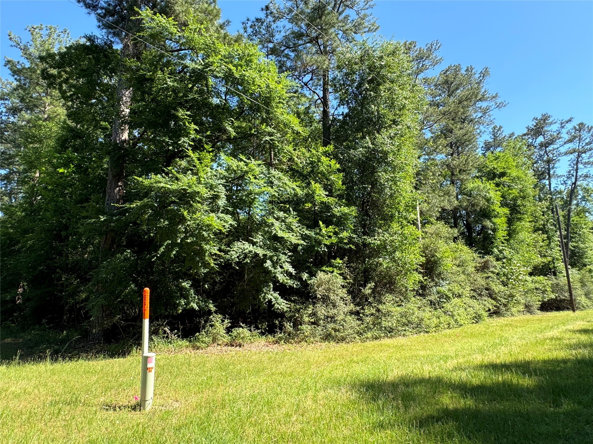 258 Coral Gables Trinity, TX 75862 - Photo 3 of 7