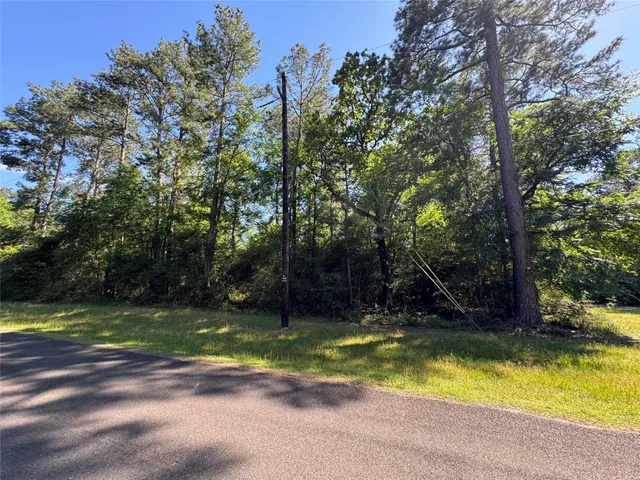 $2,500 | 258 Coral Gables, Trinity, TX 75862