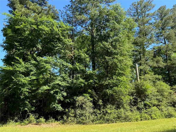 $2,500 | 258 Coral Gables, Trinity, TX 75862