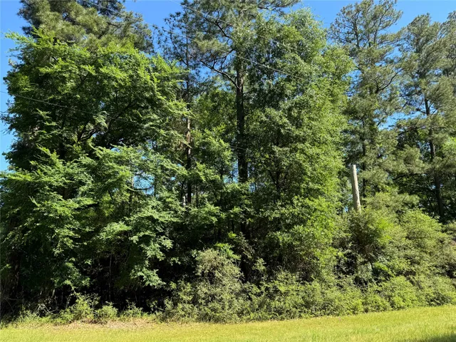 $2,500 | 258 Coral Gables, Trinity, TX 75862