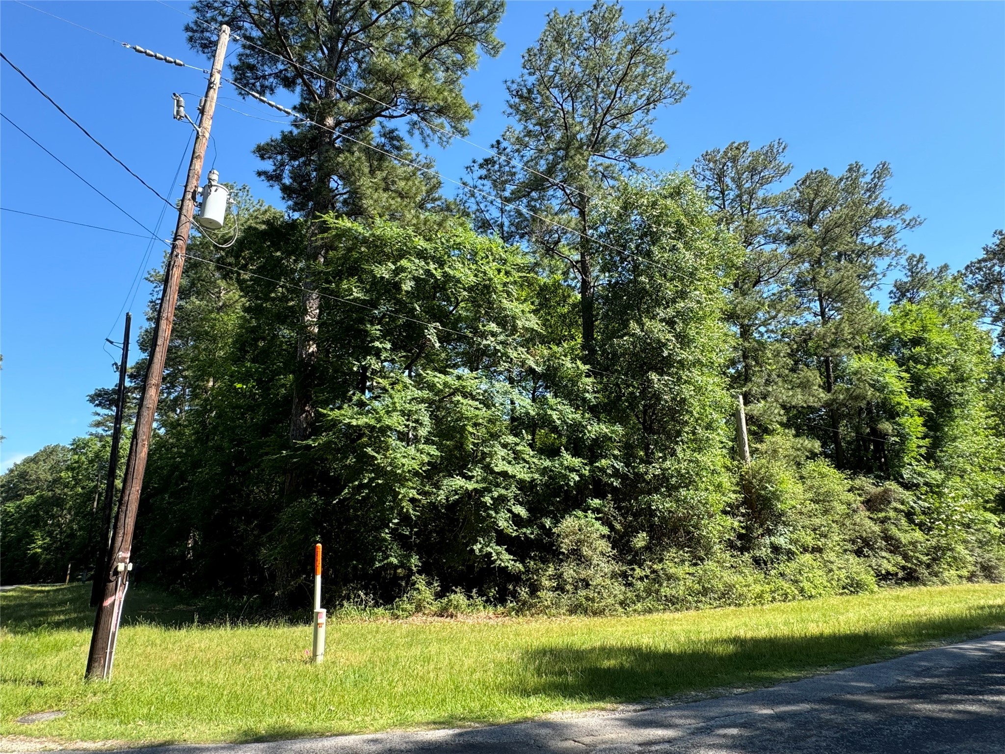 258 Coral Gables Trinity, TX 75862 - Photo 6 of 7