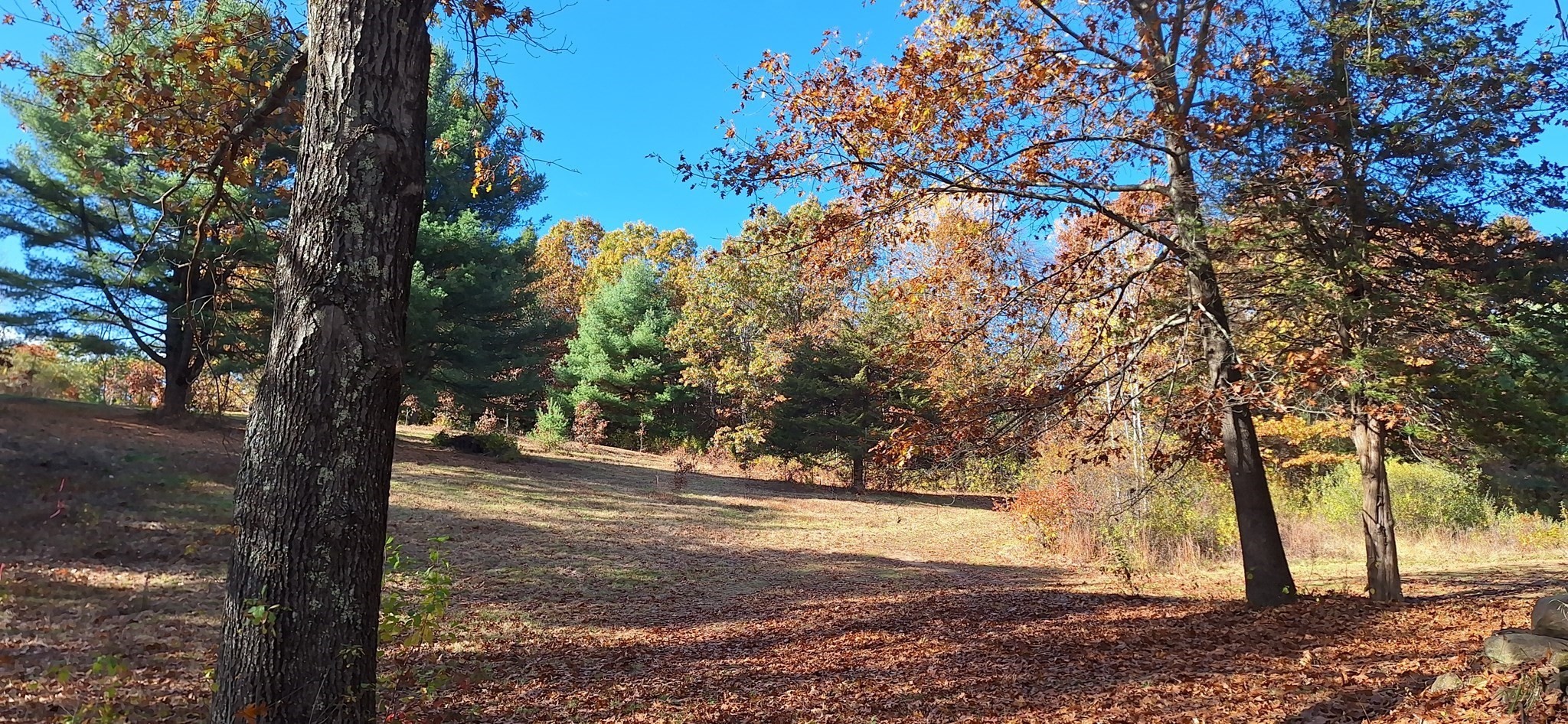 Lot 3 Mountain Road Holyoke, MA 01040 - Photo 1 of 12 Gallery Image 1