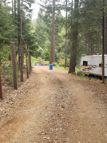 a view of a road with trees