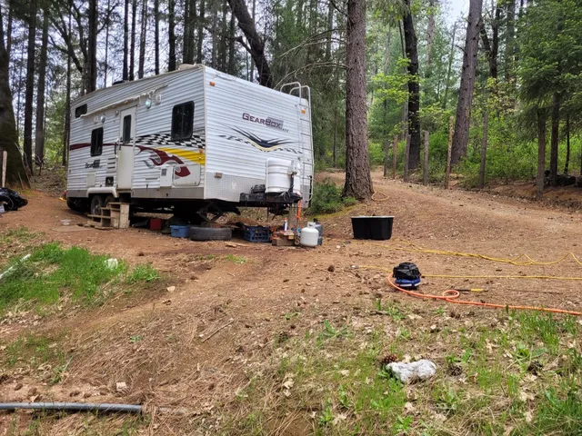 a view of a house with a yard covered in the forest