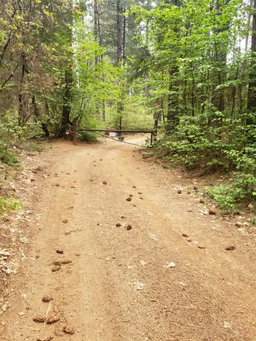 a view of the pathway of a yard
