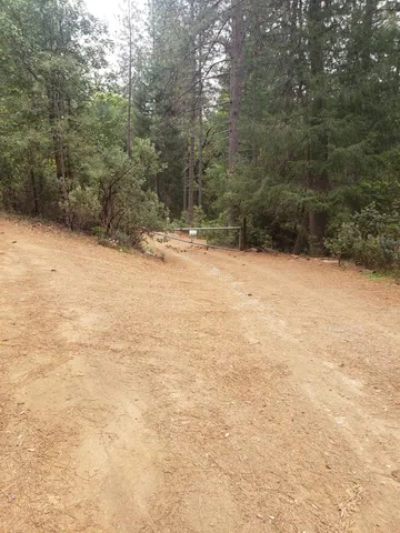 a view of empty room with trees