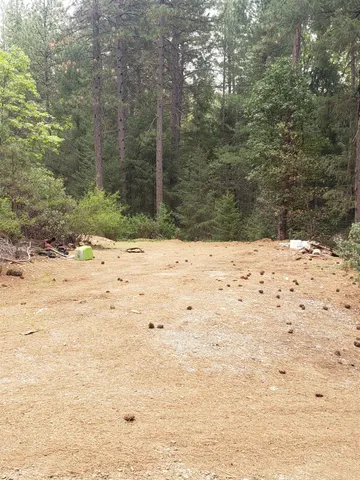 a view of a yard covered in snow