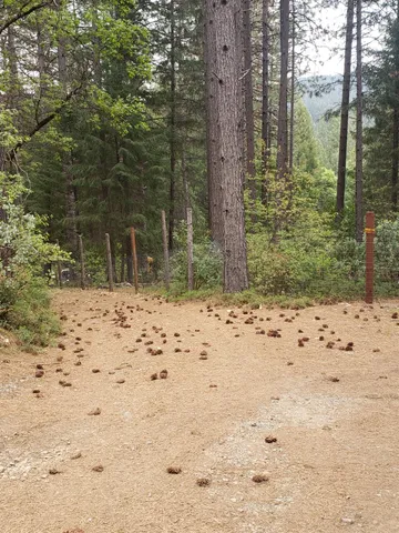 a view of a backyard of the house