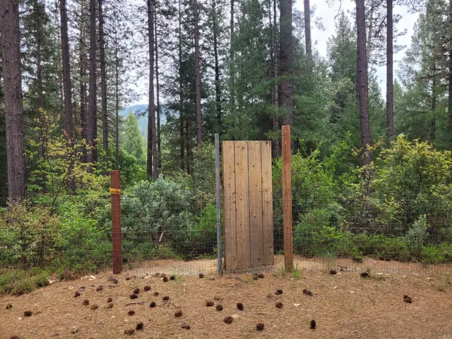 a view of a dry yard with trees