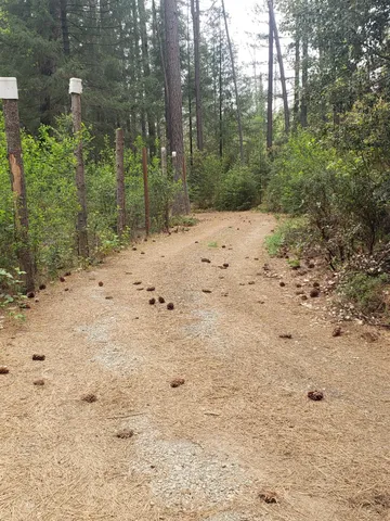 a view of a dry yard covered in the snow