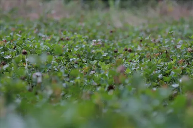 $440,000 | 0 West 1800th Road, Parker, KS 66072