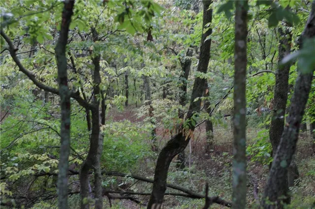 $440,000 | 0 West 1800th Road, Parker, KS 66072