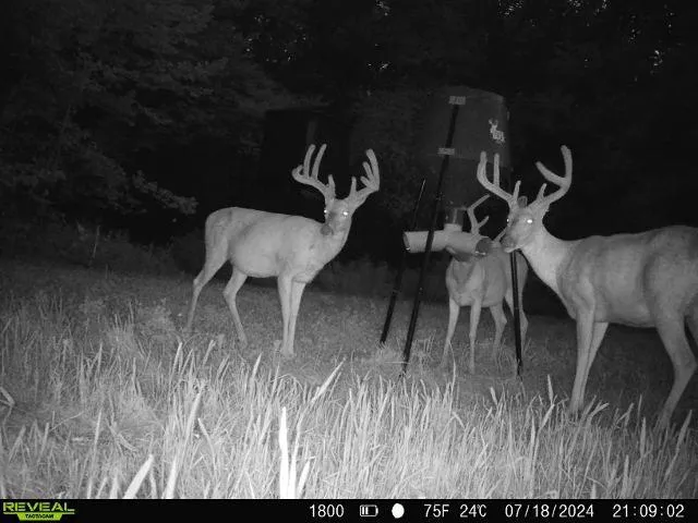 $440,000 | 0 West 1800th Road, Parker, KS 66072