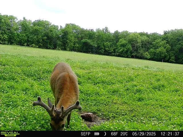 $440,000 | 0 West 1800th Road, Parker, KS 66072