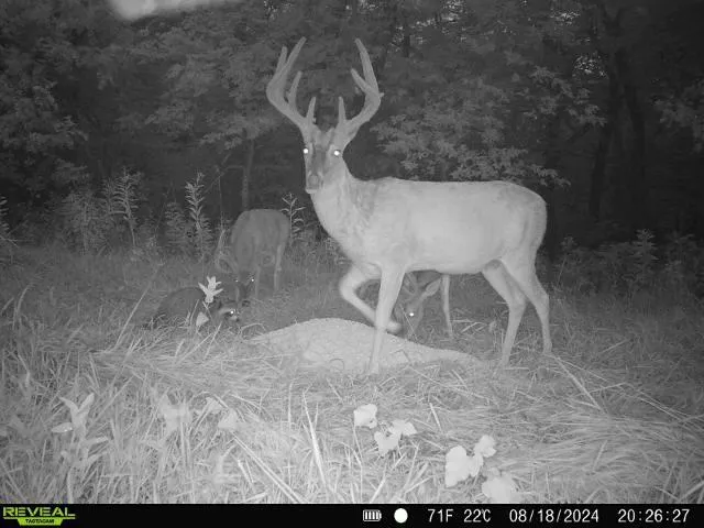 $440,000 | 0 West 1800th Road, Parker, KS 66072