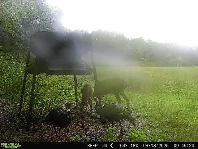 $440,000 | 0 West 1800th Road, Parker, KS 66072