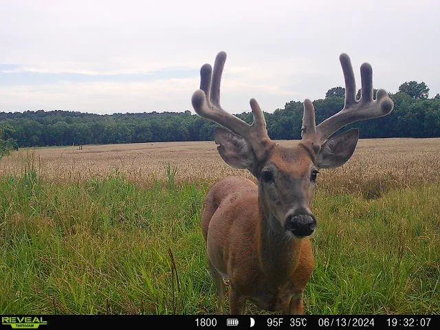 $440,000 | 0 West 1800th Road, Parker, KS 66072