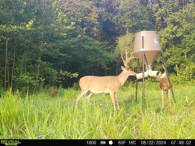 $440,000 | 0 West 1800th Road, Parker, KS 66072