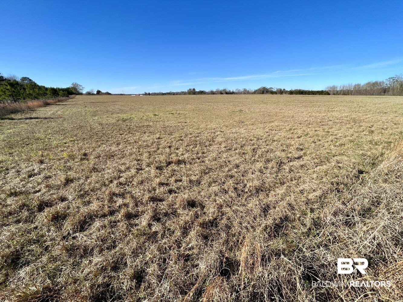 0 Highway 84 Evergreen, AL 36401 - Photo 26 of 50