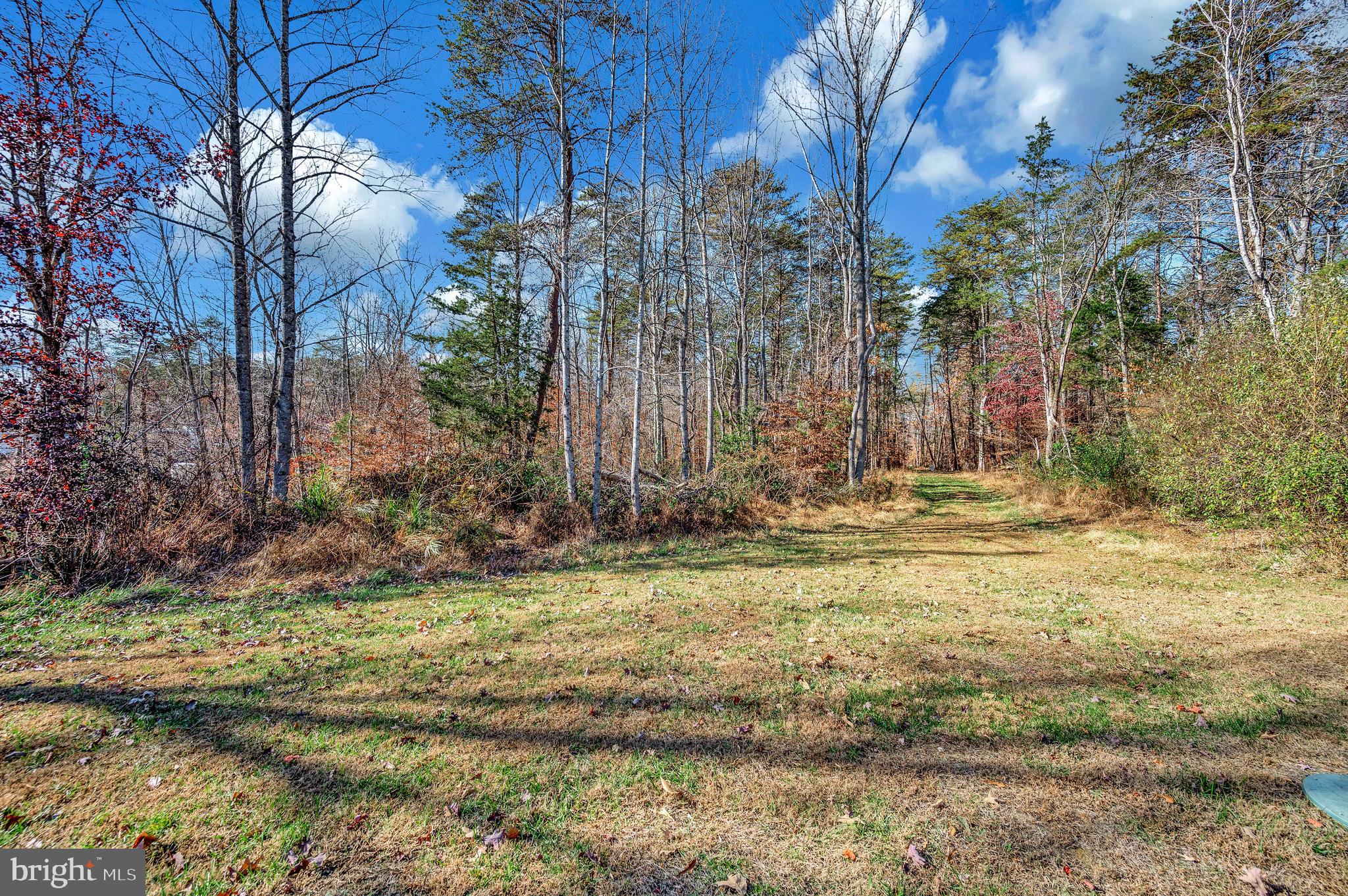 5120 Burr Hill Road Rhoadesville, VA 22542 - Photo 40 of 45 a view of a backyard with large trees
