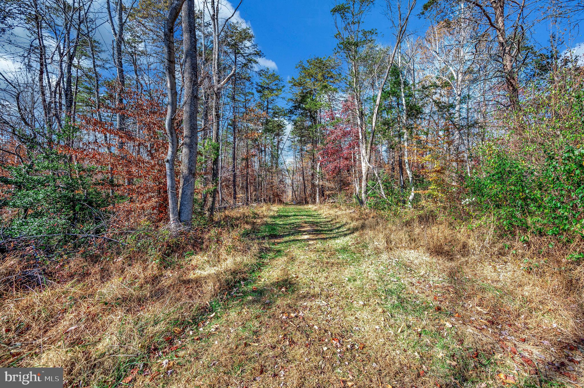 5120 Burr Hill Road Rhoadesville, VA 22542 - Photo 41 of 45 a backyard of a house with lots of green space