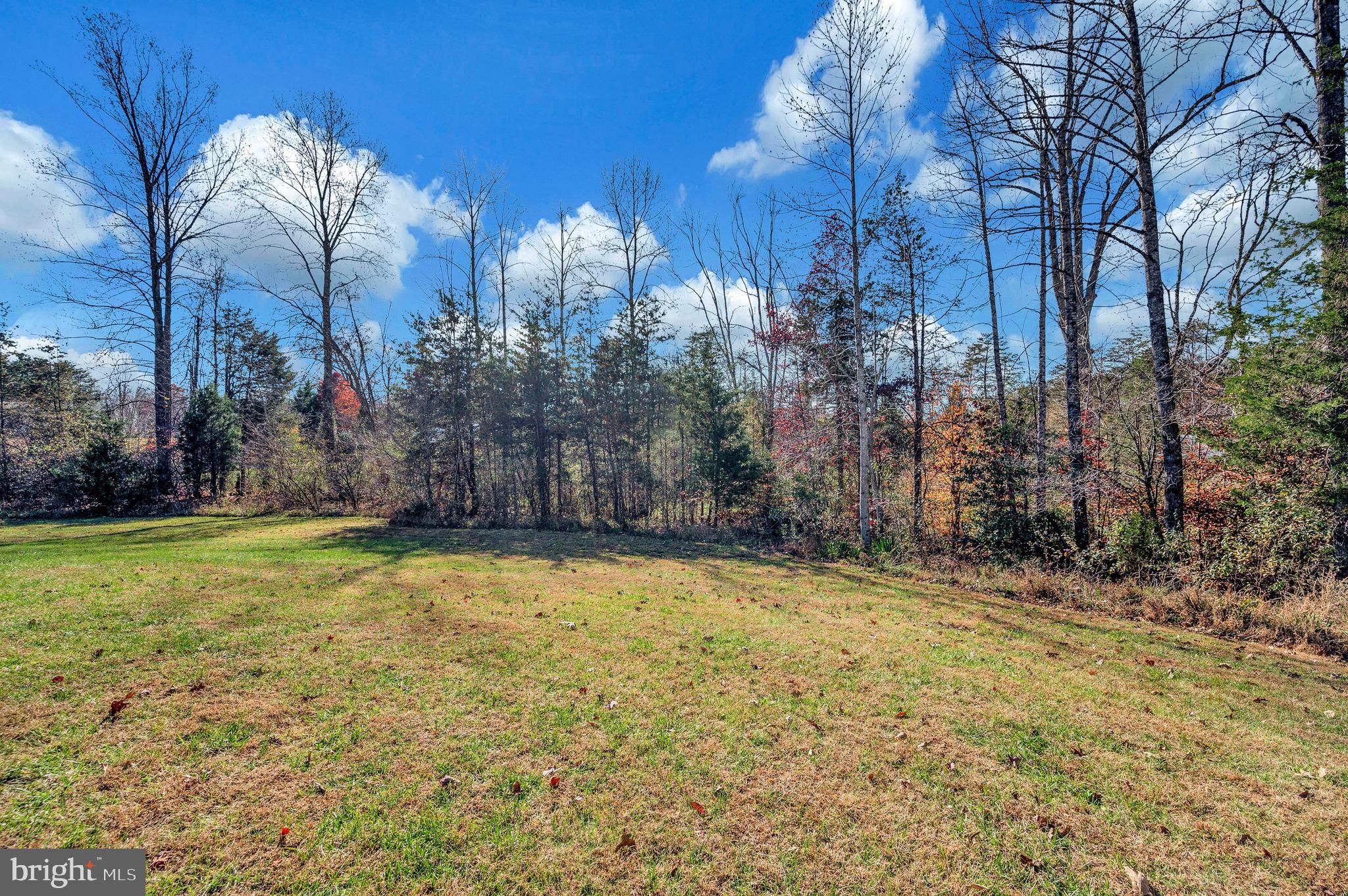 5120 Burr Hill Road Rhoadesville, VA 22542 - Photo 44 of 45 a view of a yard with large trees
