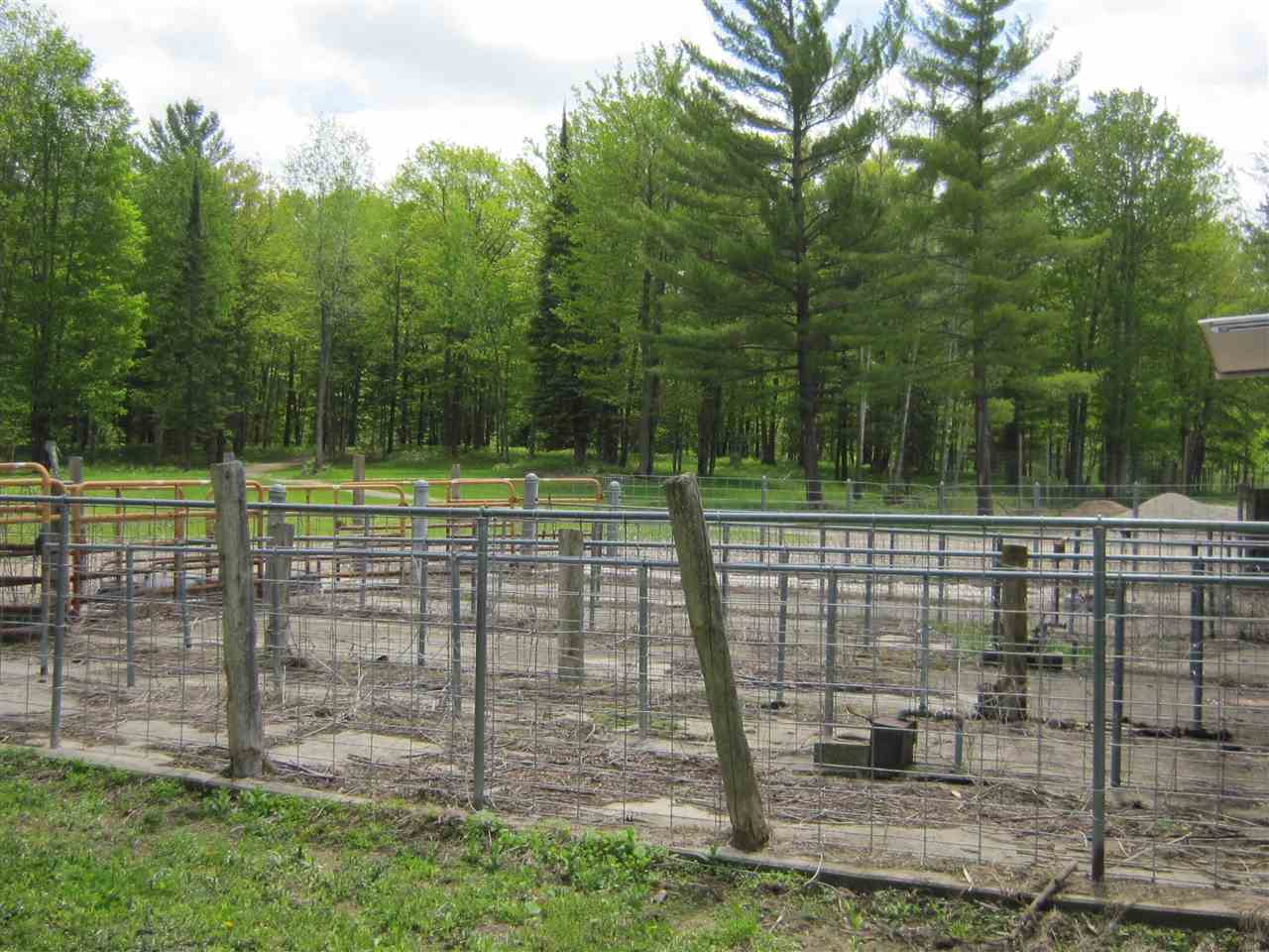 2900 Bass Lake Road Lupton, MI 48635 - Photo 25 of 86 1887746-24.JPG