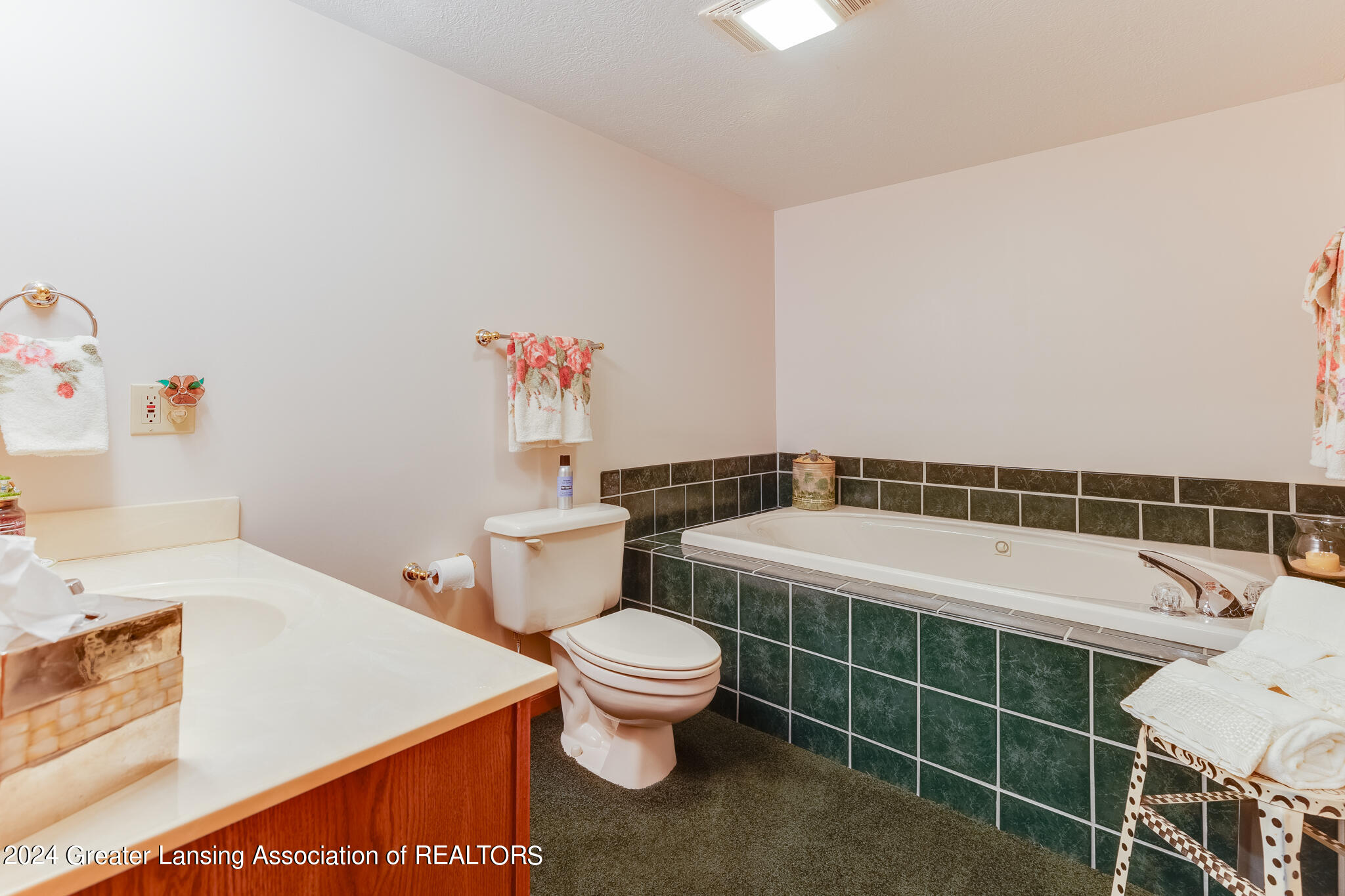 3933 West Herbison Road Dewitt, MI 48820 - Photo 42 of 56 3933_W_Herbison_BROCK-66