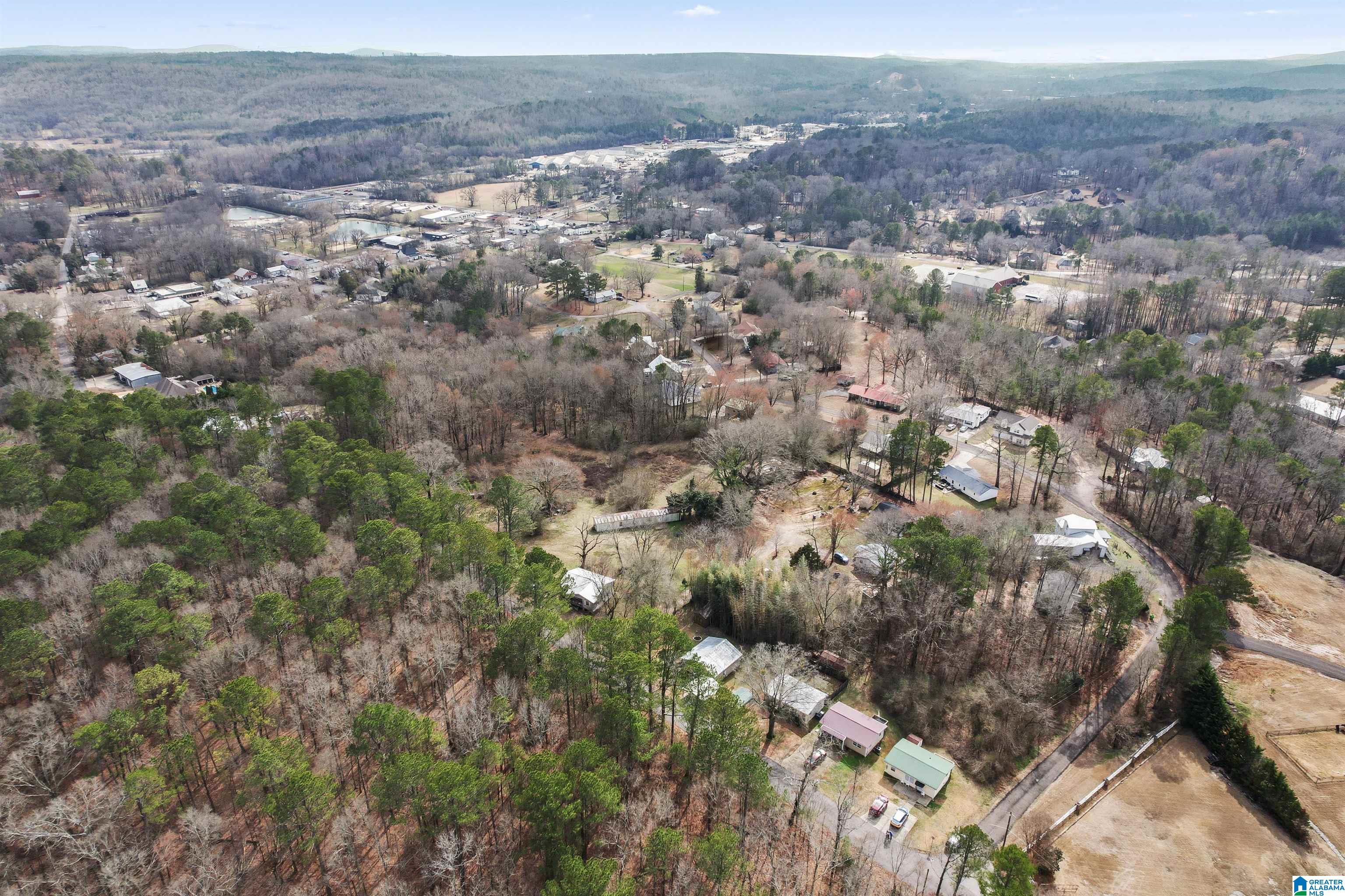 167 Old Mill Road Springville, AL 35146 - Photo 4 of 44