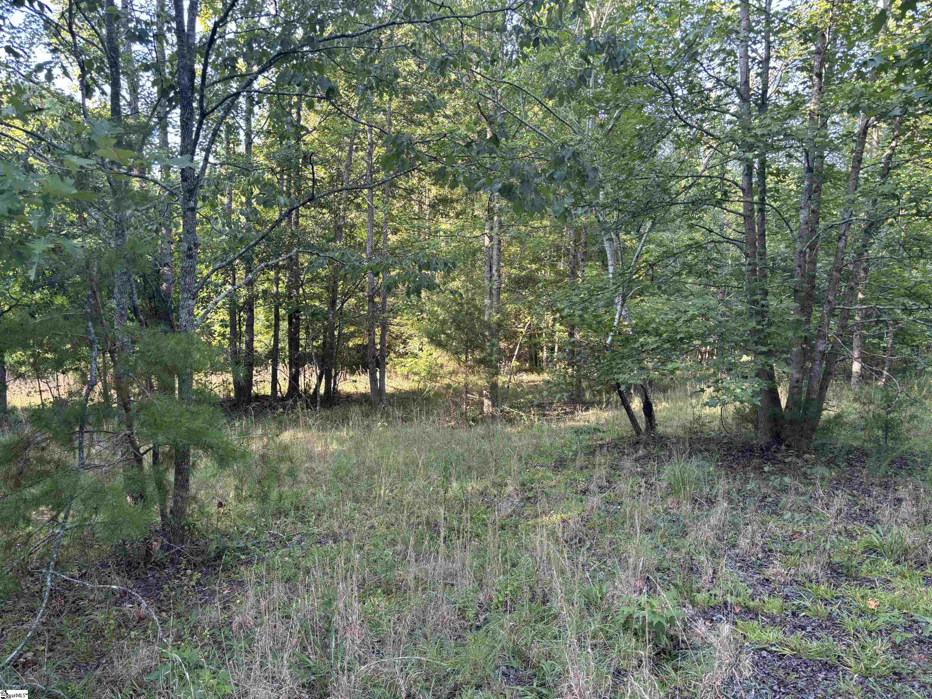 1609 Holliday Dam Road Belton, SC 29627 - Photo 15 of 50 Gallery Image 15