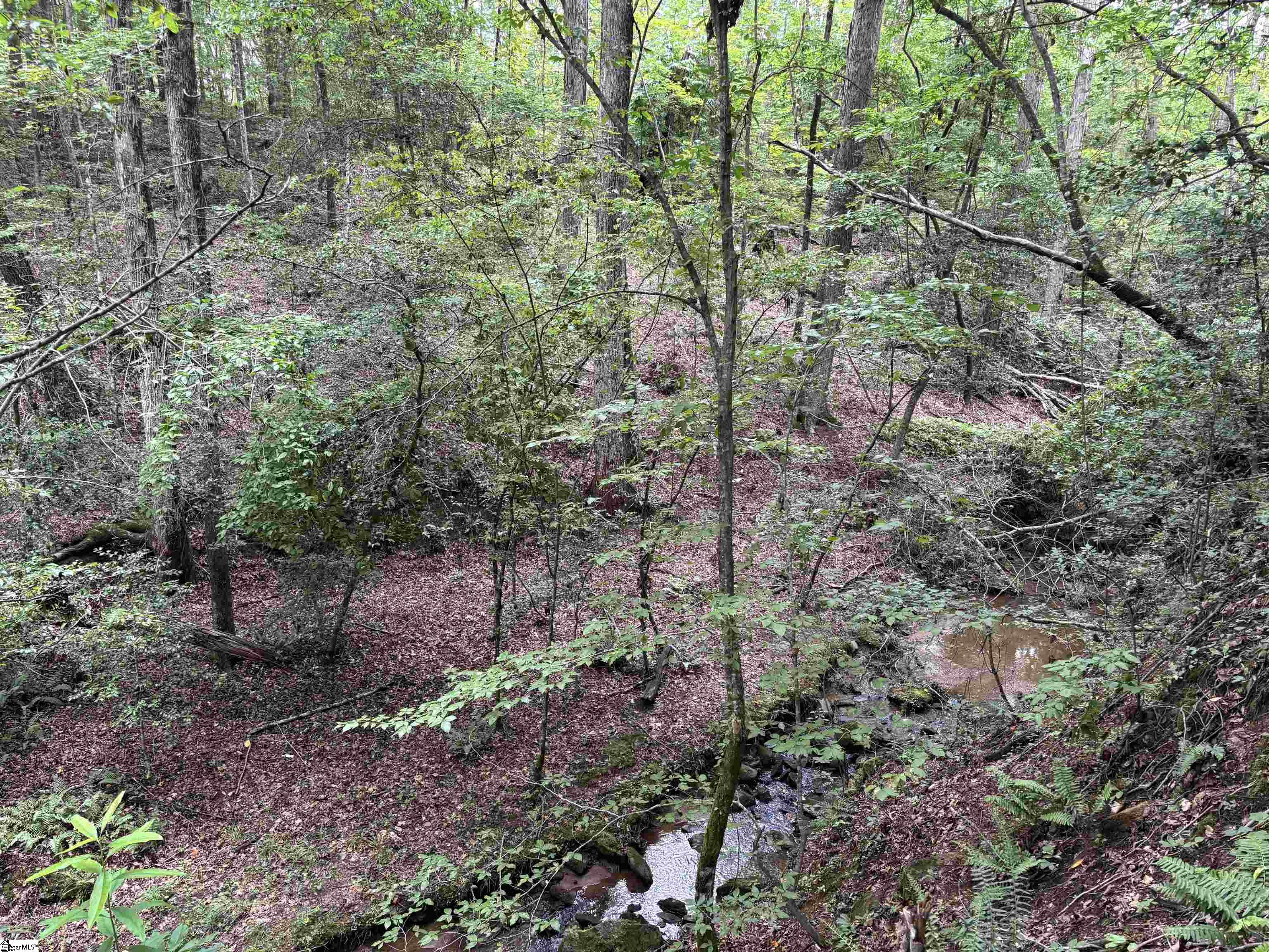 1609 Holliday Dam Road Belton, SC 29627 - Photo 16 of 50 Gallery Image 16