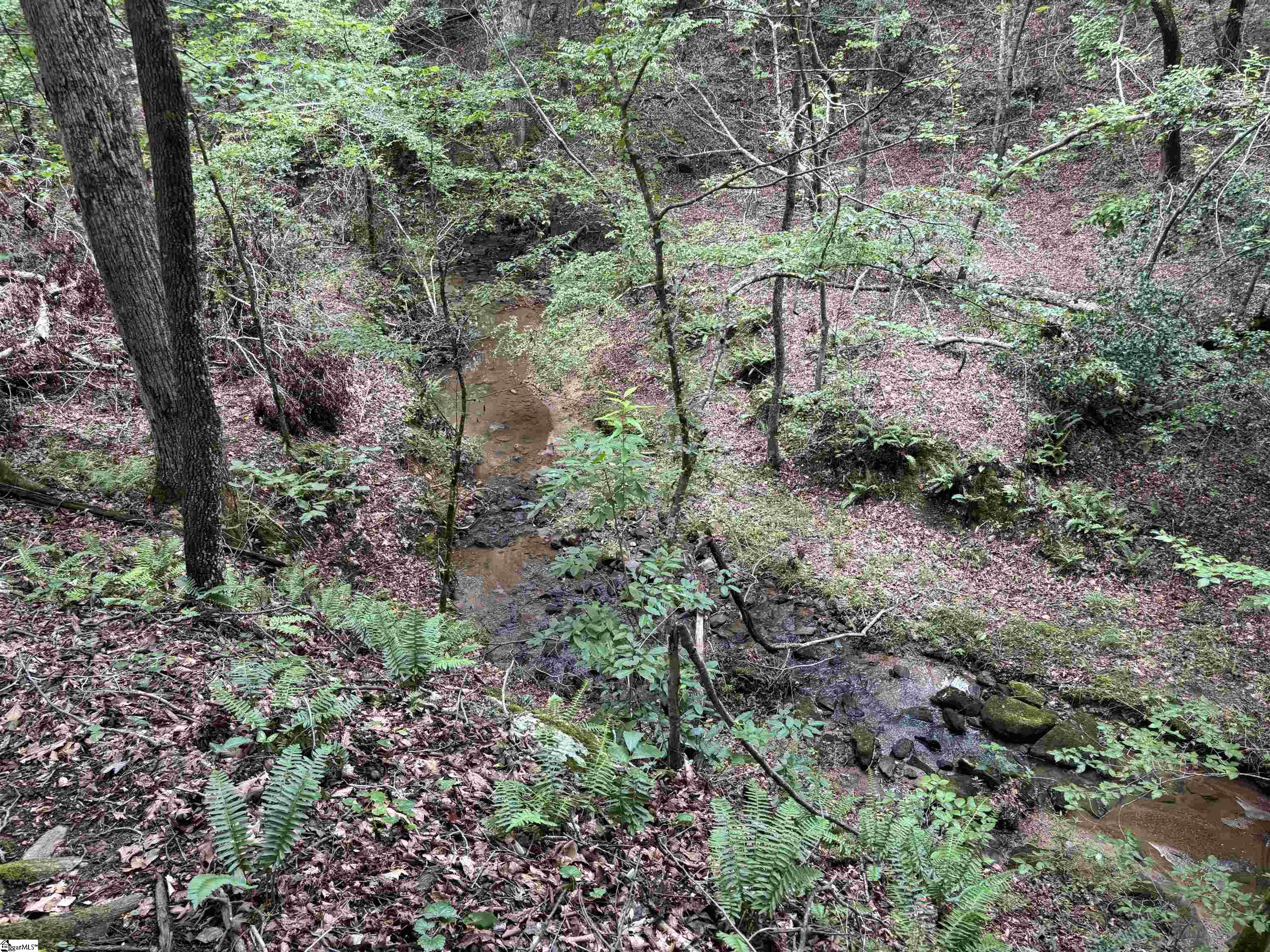1609 Holliday Dam Road Belton, SC 29627 - Photo 17 of 50 Gallery Image 17