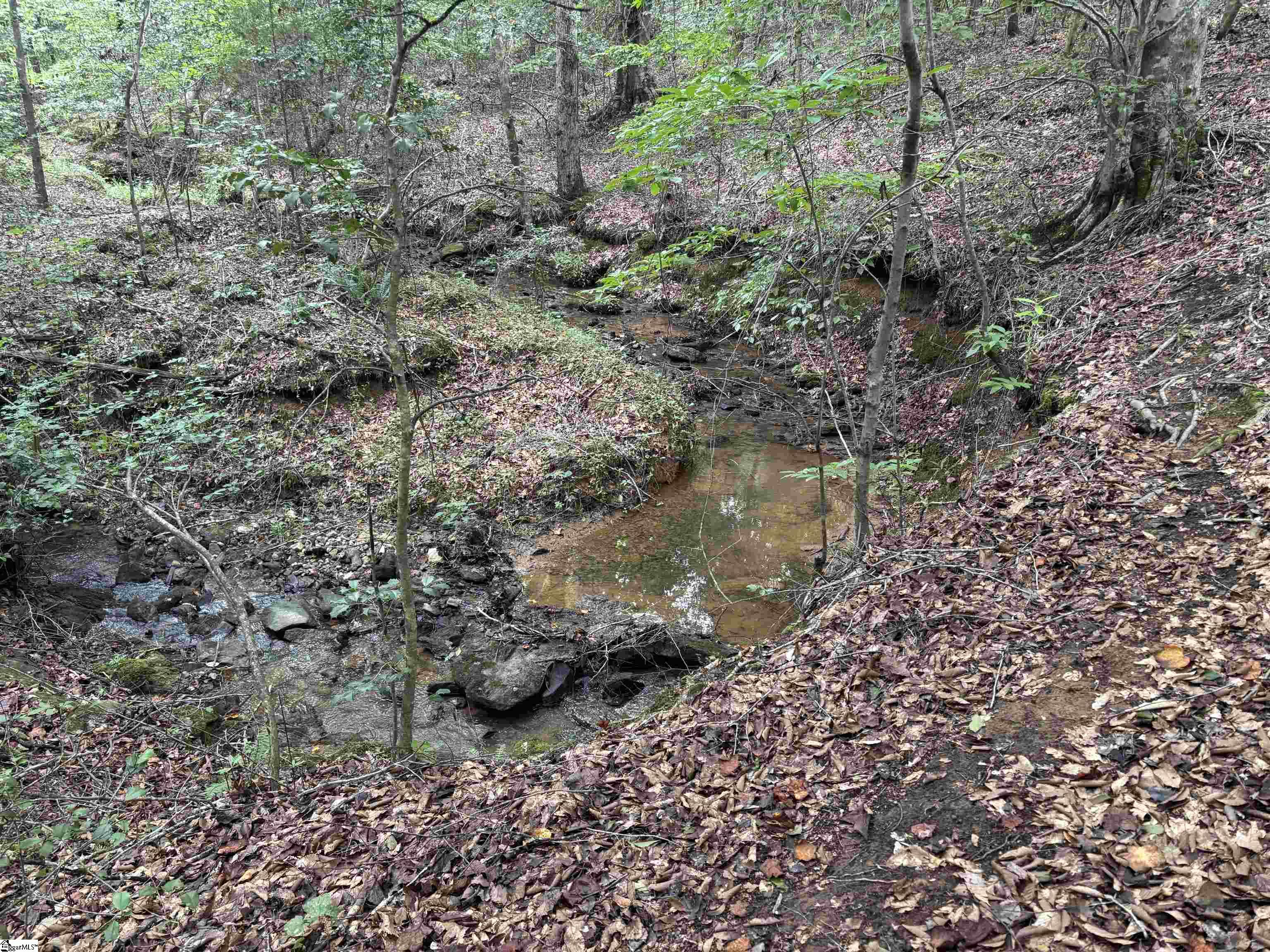 1609 Holliday Dam Road Belton, SC 29627 - Photo 19 of 50 Gallery Image 19