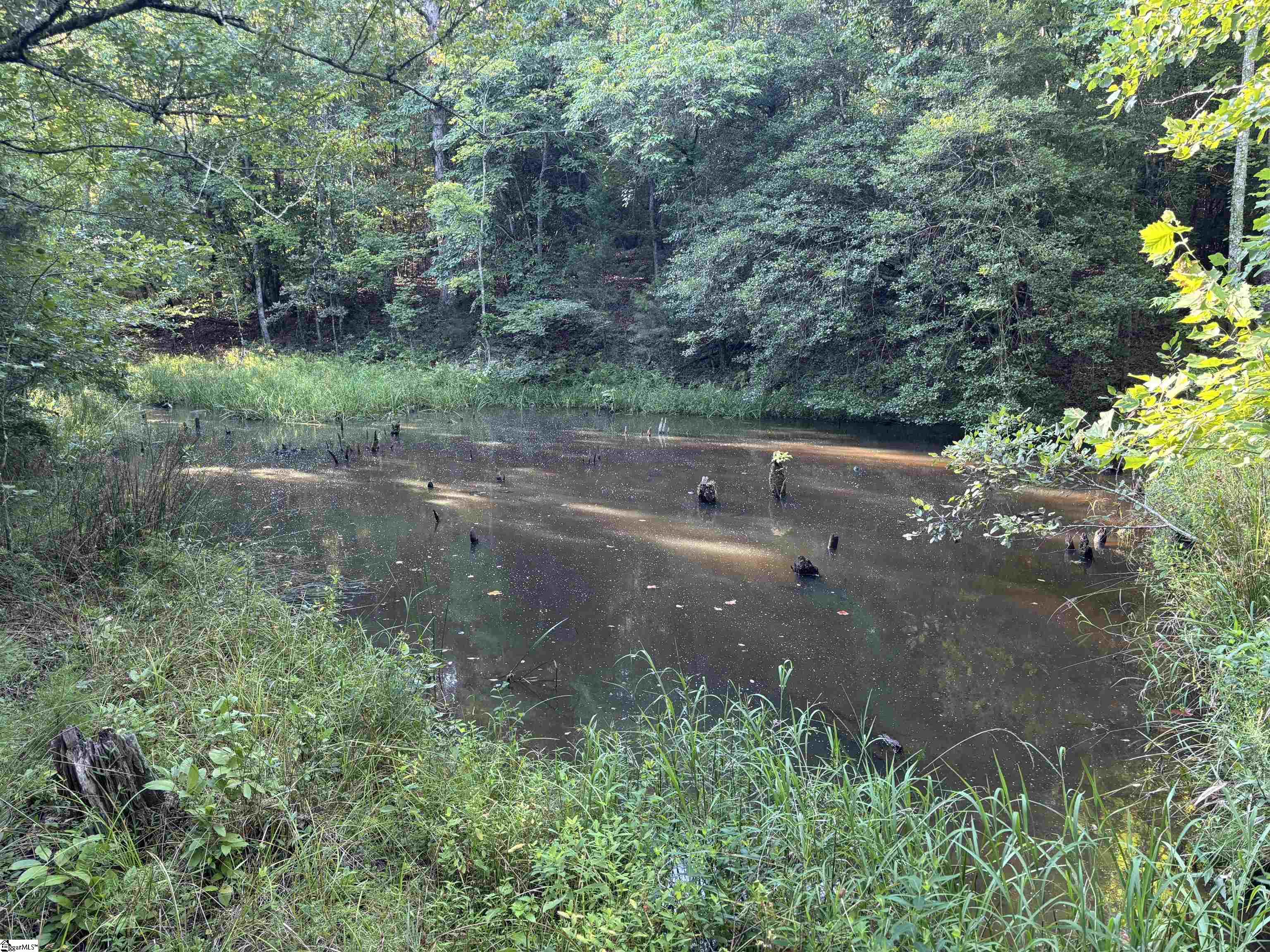1609 Holliday Dam Road Belton, SC 29627 - Photo 20 of 50 Gallery Image 20