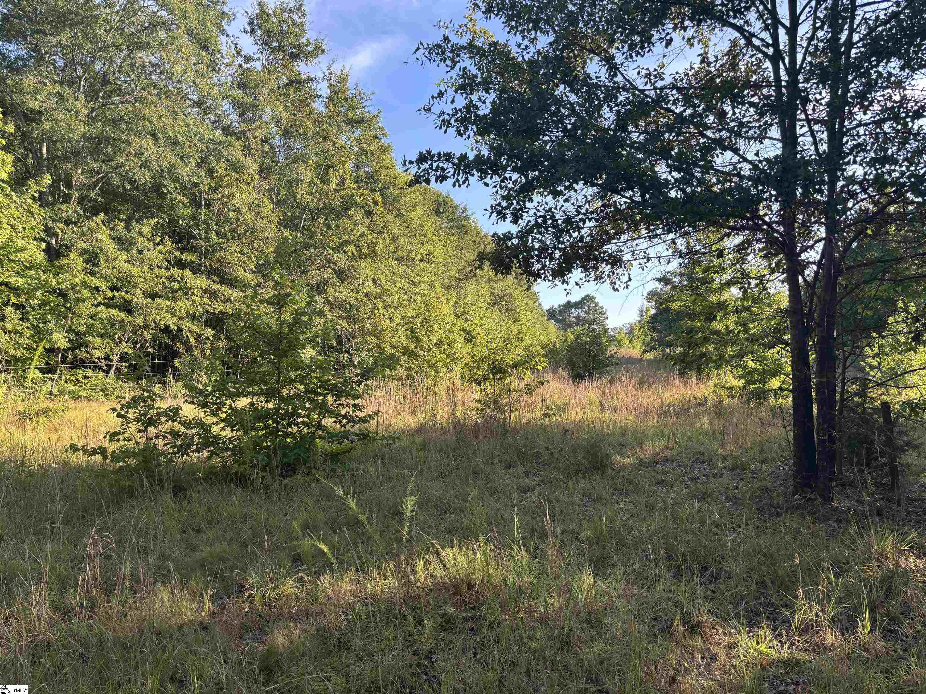 1609 Holliday Dam Road Belton, SC 29627 - Photo 21 of 50 Gallery Image 21