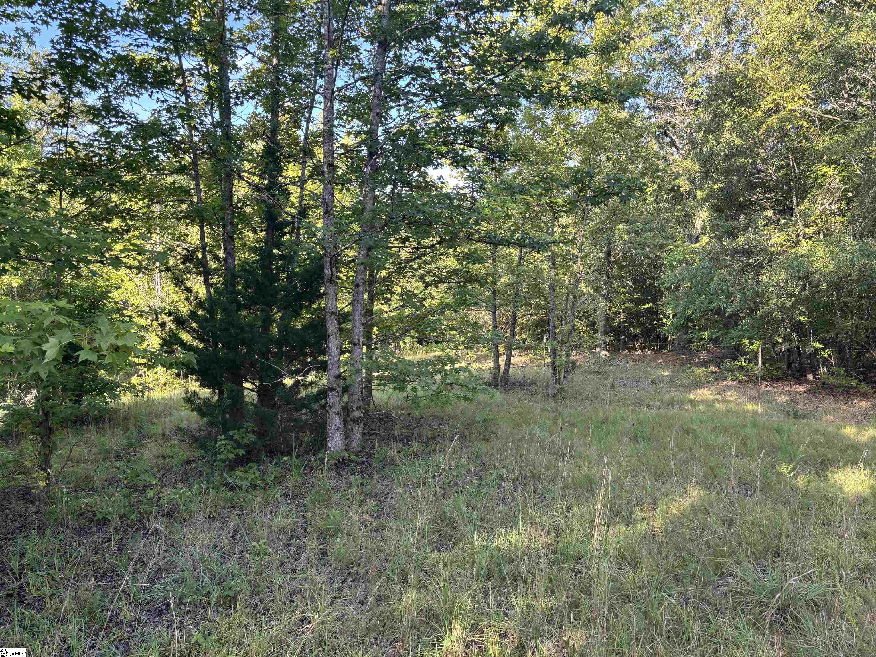 1609 Holliday Dam Road Belton, SC 29627 - Photo 22 of 50 Gallery Image 22