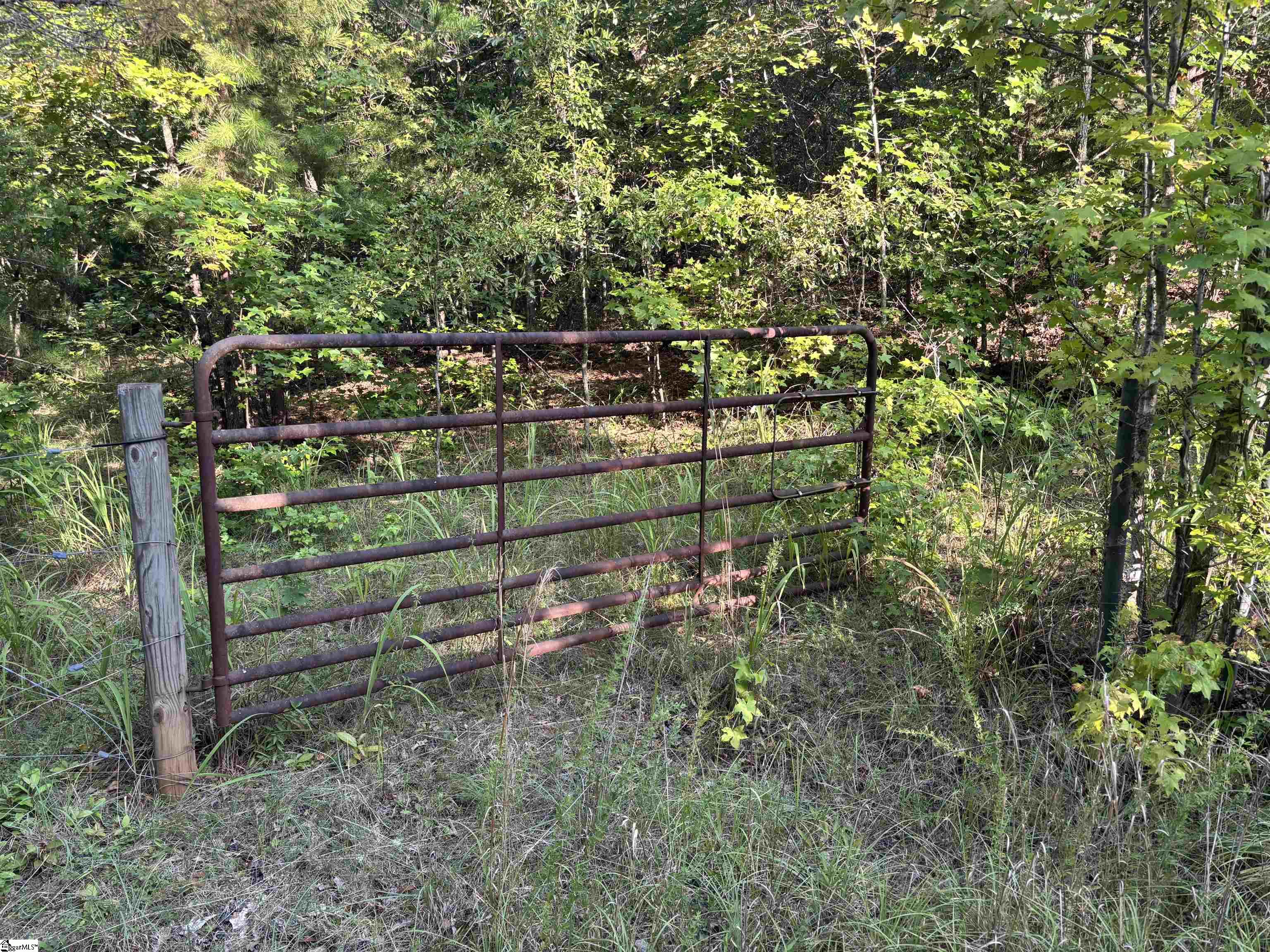 1609 Holliday Dam Road Belton, SC 29627 - Photo 23 of 50 Gallery Image 23