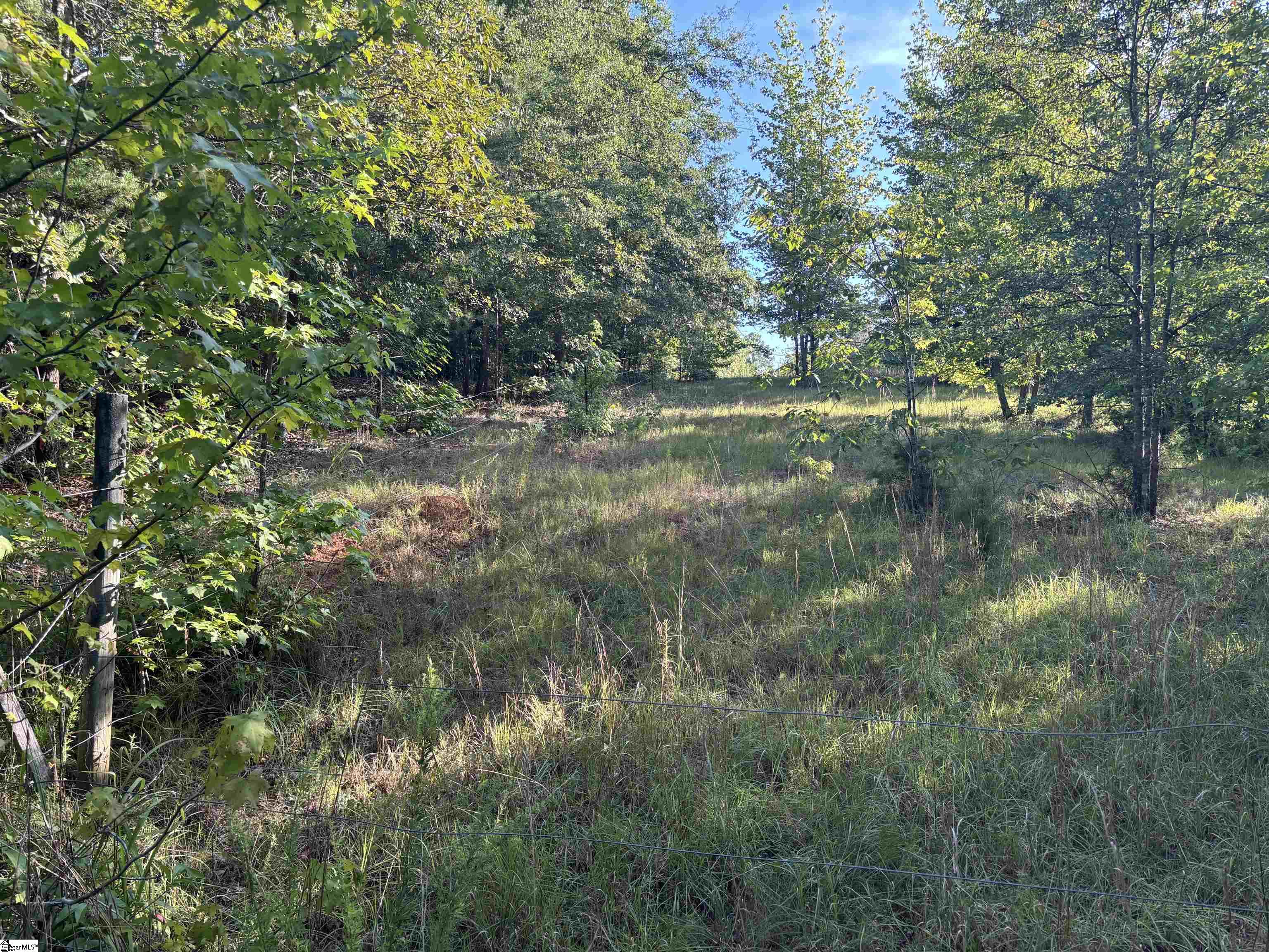 1609 Holliday Dam Road Belton, SC 29627 - Photo 24 of 50 Gallery Image 24
