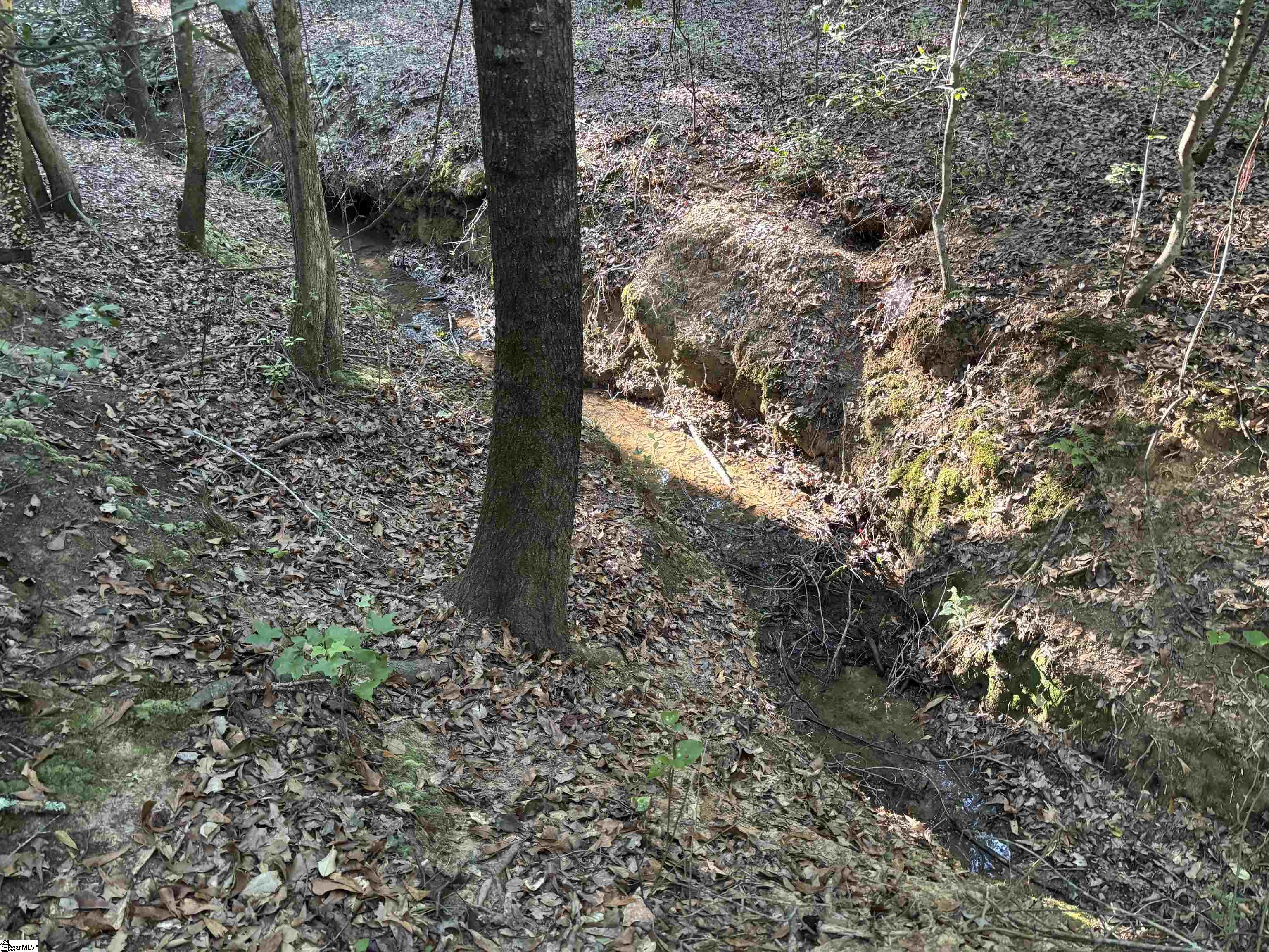 1609 Holliday Dam Road Belton, SC 29627 - Photo 25 of 50 Gallery Image 25
