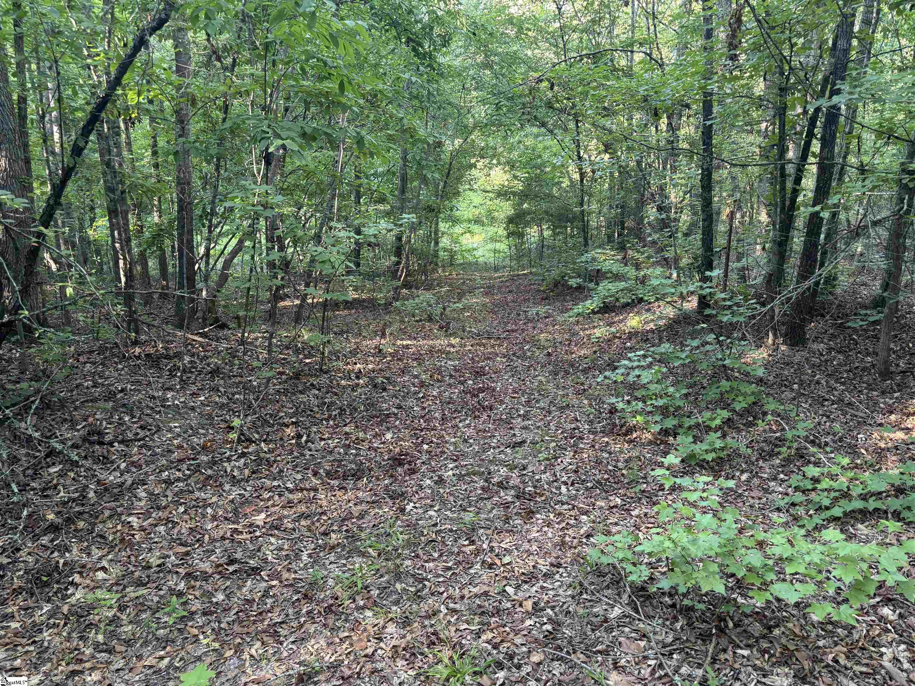 1609 Holliday Dam Road Belton, SC 29627 - Photo 26 of 50 Gallery Image 26