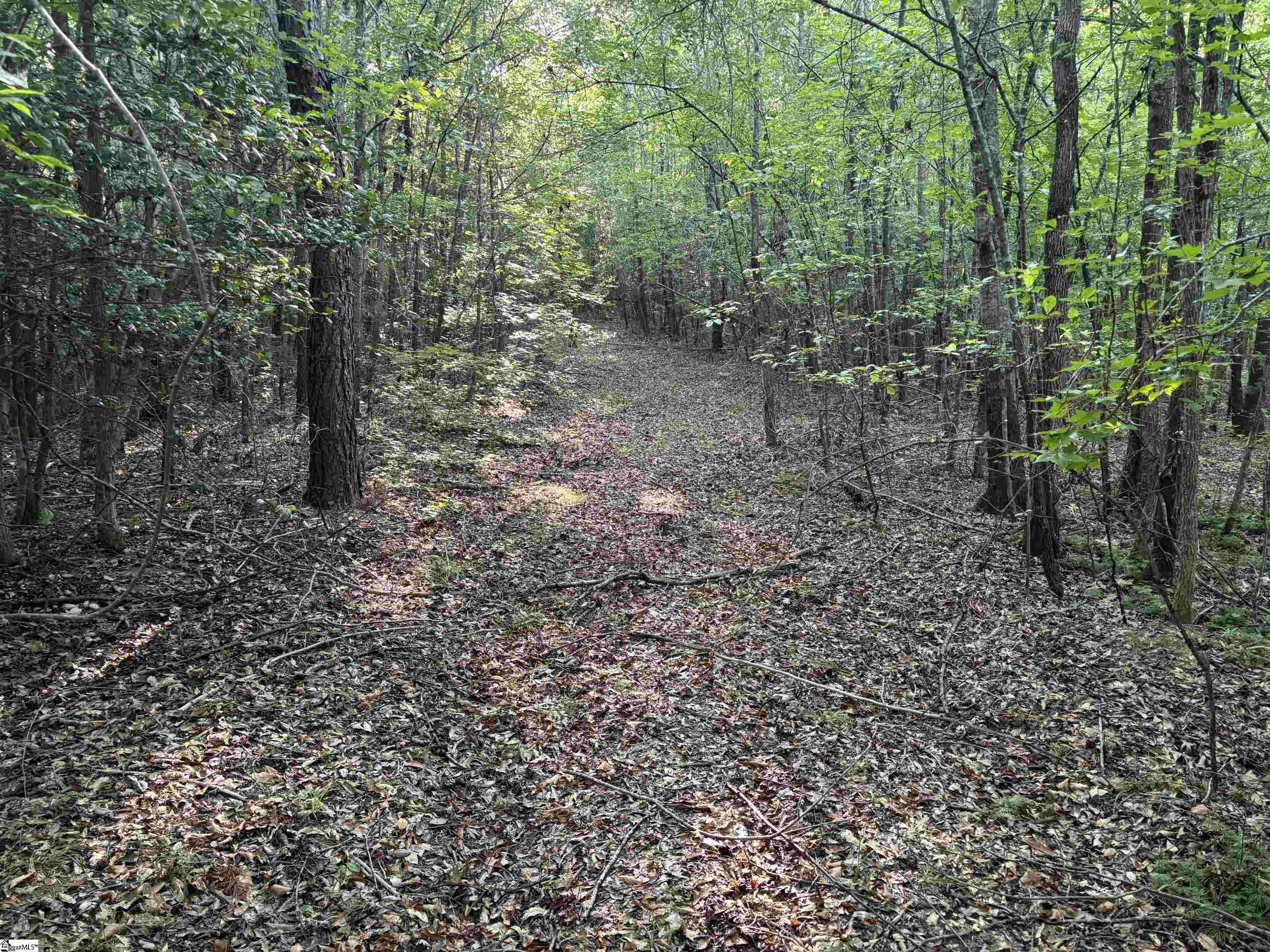 1609 Holliday Dam Road Belton, SC 29627 - Photo 27 of 50 Gallery Image 27