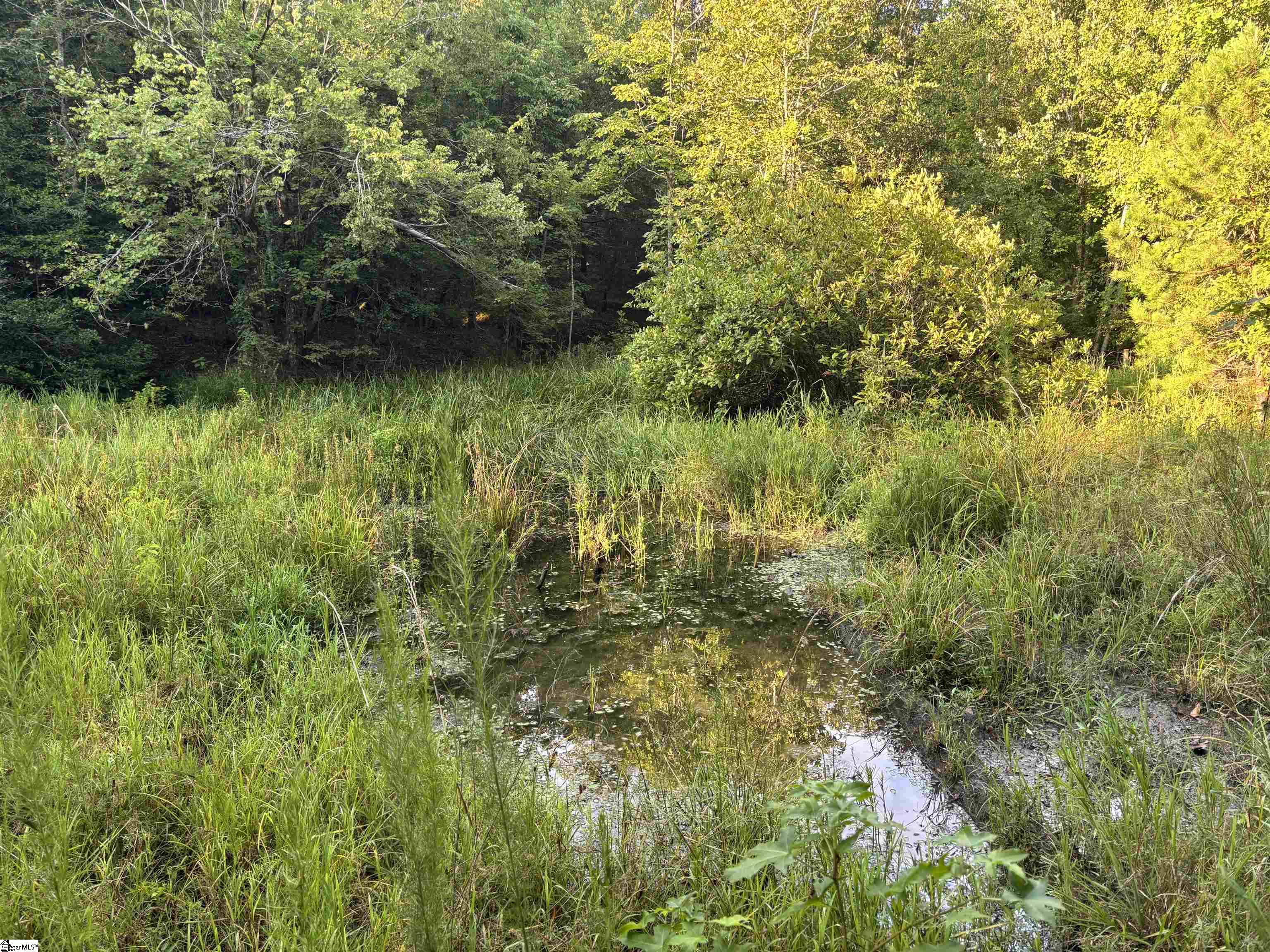 1609 Holliday Dam Road Belton, SC 29627 - Photo 28 of 50 Gallery Image 28