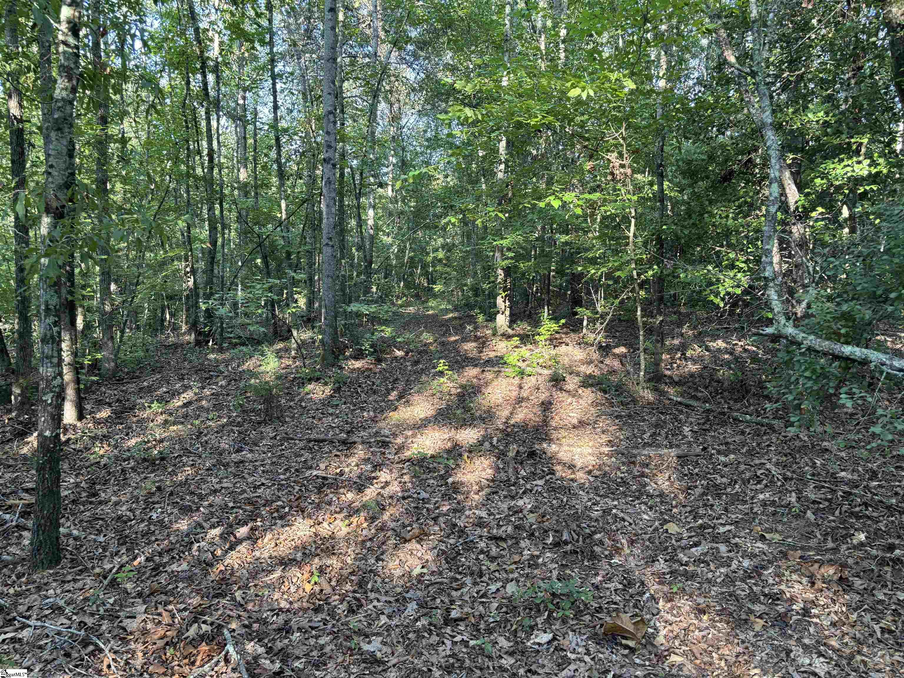 1609 Holliday Dam Road Belton, SC 29627 - Photo 29 of 50 Gallery Image 29