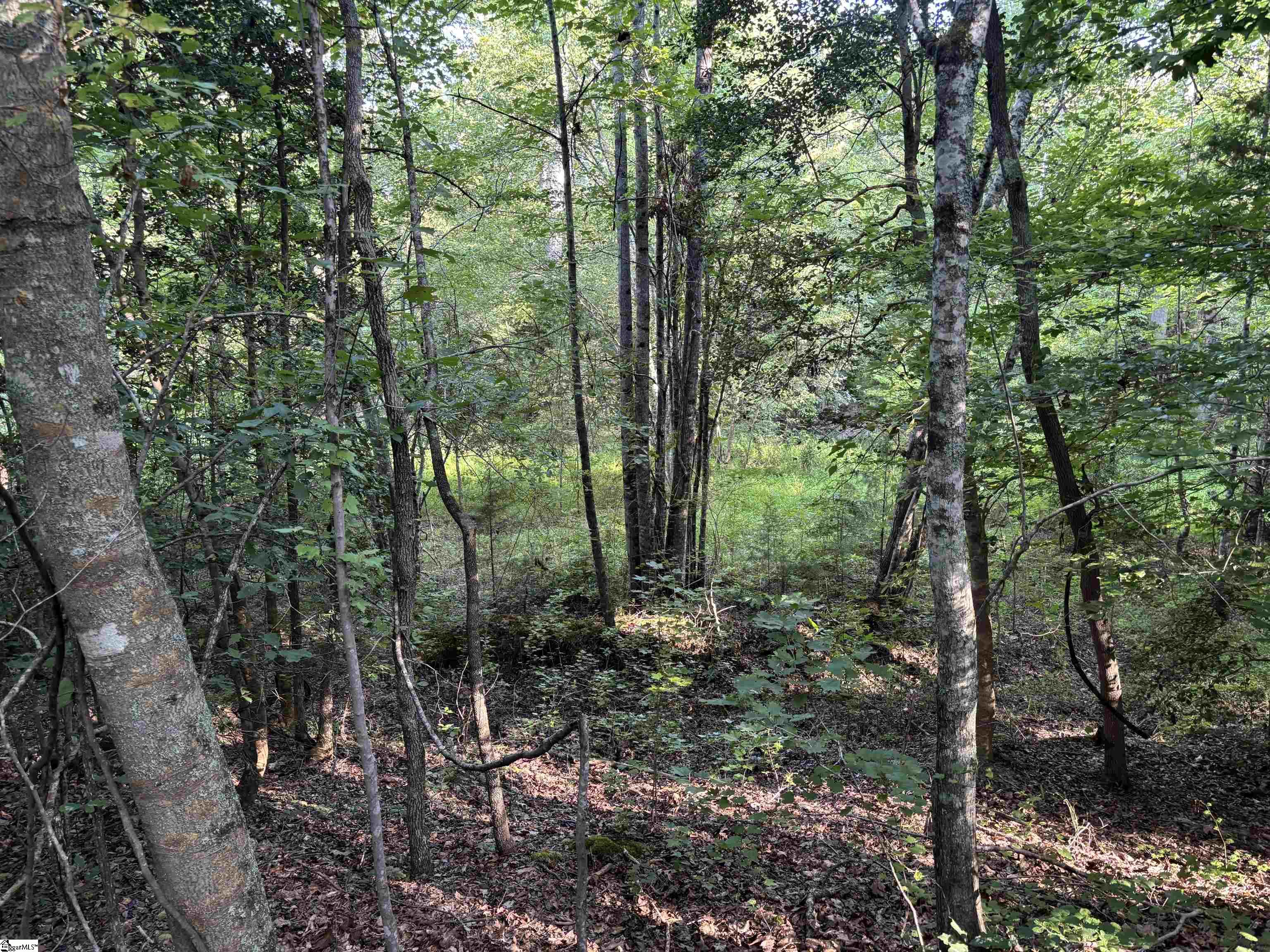 1609 Holliday Dam Road Belton, SC 29627 - Photo 30 of 50 Gallery Image 30