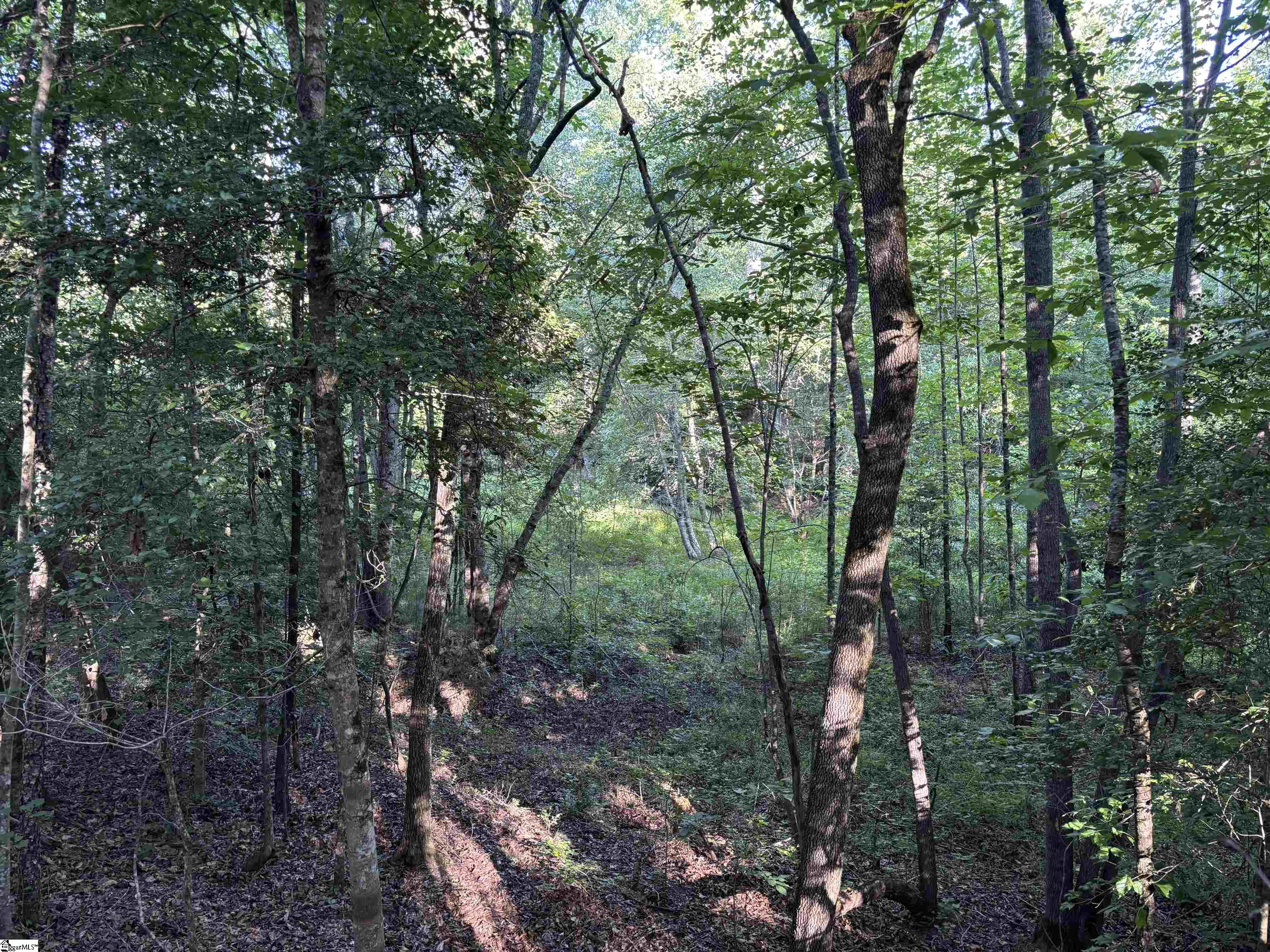 1609 Holliday Dam Road Belton, SC 29627 - Photo 31 of 50 Gallery Image 31